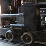 IMG_7894 (May 28, 2024)